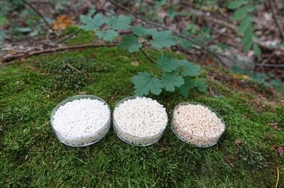 NOVUM項目研發(fā)纖維素生物3D打印材料