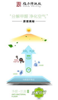 福力得認為 好地板只有一個屬性 凈醛