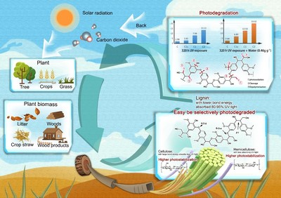 竹子中心在戶外竹基復(fù)合材料研發(fā)和生物質(zhì)材料光降解機理方面取得新突破