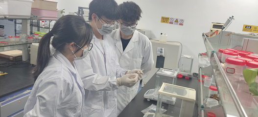 學習強國:浙農(nóng)林大本科生團隊研究成果開啟生物基醫(yī)用材料增材制造新路徑