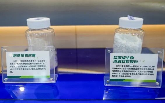 算力土豆 當生物基材料研發在臺州破土而出